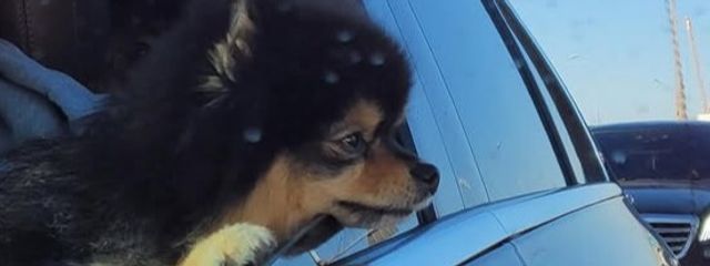 　そ に _ お 勉 強 中 ✊　さんの壁紙画像