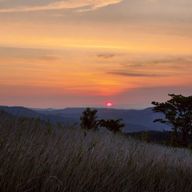 さぁーさんのアイコン画像
