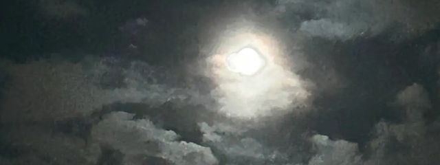 にじさんじすきさんの壁紙画像