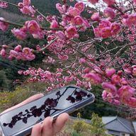 にじさんじすきさんのアイコン画像