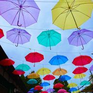 涼風　とあさんのアイコン画像