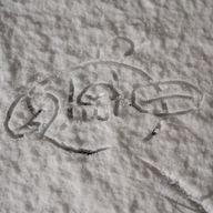 きか(⁠&nbsp;⁠╹⁠▽⁠╹⁠&nbsp;⁠)✨さんのアイコン画像