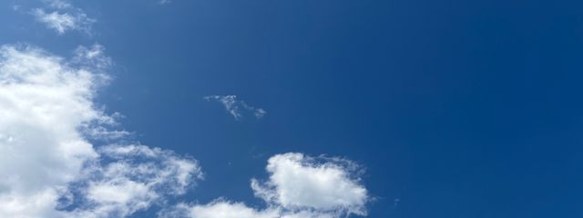 みれい𓂃 𓈒𓏸◌さんの壁紙画像