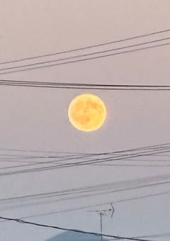 コメント無視していいですか？