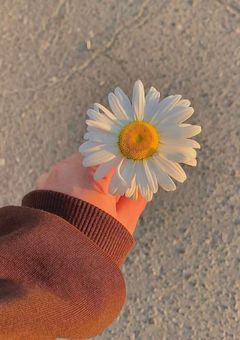 BMSG男子反応集(+短編)