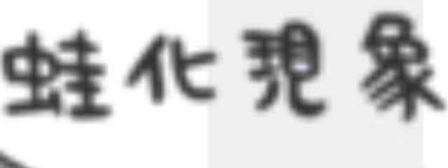 酒場のぱすぴすє(◉▽◉)эさんの壁紙画像