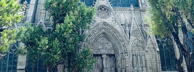 犬🐕さんの壁紙画像