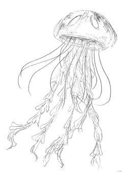 伝説のお絵描き部屋