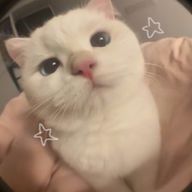 hnkさんのアイコン画像