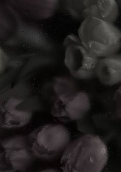 振り向いてよ裏方さん！