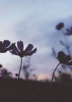 ありがとう、変われたよ。