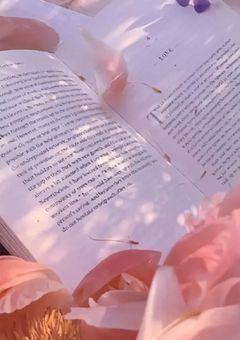 ｡.ʚ  𝐒𝐡𝐨𝐫𝐭𝐒𝐭𝐨𝐫𝐲   ɞ .｡