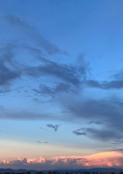 鋼の錬金術師はストレイドックスの世界へ転生したようで