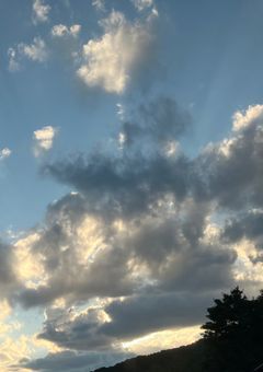 喰種 文豪に約束を