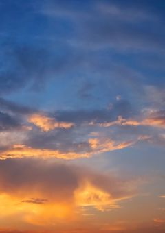 連合が文豪の世界にやってきた(※迷い込んだ)