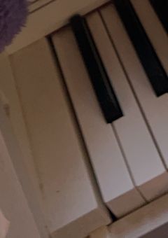 皆んなはさ、信じてくれないの？