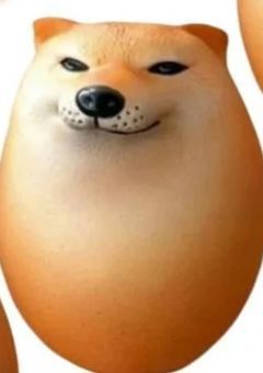 # ノリで家出したら拾われた件.