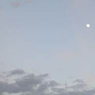 夜桜さんのアイコン画像