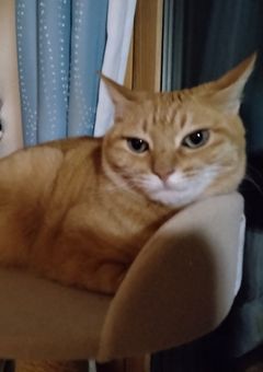 主暇なときある