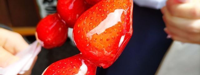 なめすさんの壁紙画像