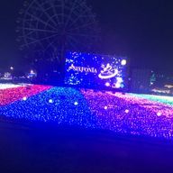 まなさんのアイコン画像