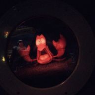 夜桜さんのアイコン画像