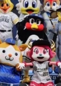 # 野 球 ふ ぁ ん と 繋 が り た い