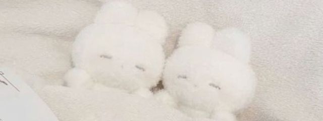 りのは~✮⋆˙ さんの壁紙画像