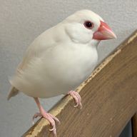 ぶんたさんのアイコン画像