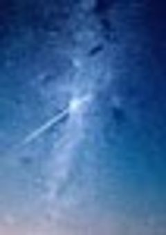 人間のボク等と人外の彼等