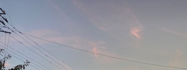 マロさんの壁紙画像