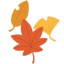 秋の人🍂