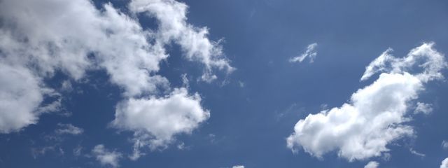 つちのこさんの壁紙画像