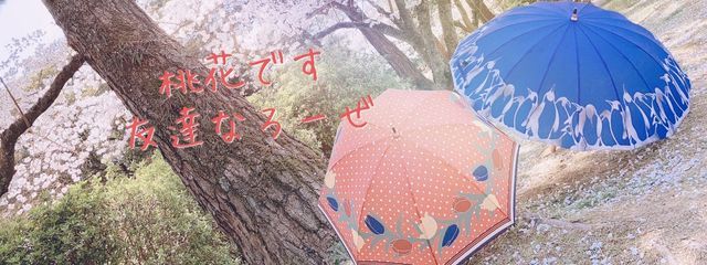 桃花 🐹🌹さんの壁紙画像