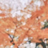 酢さんのアイコン画像