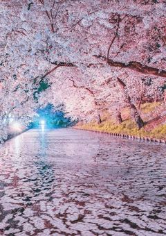 参加型/あの木の下には君がいる。