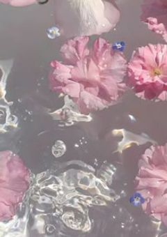 　"　我儘お嬢様　ﾊ　恋　ｦｽﾙ　!!