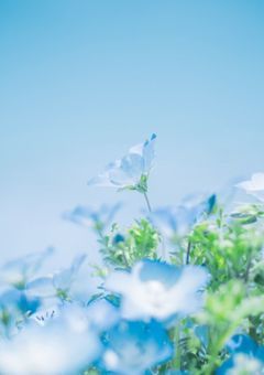 【停止中】light blue life