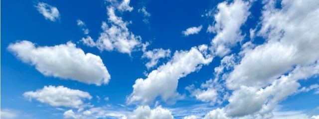 推しを推すのに全力を出す‼️‼️さんの壁紙画像