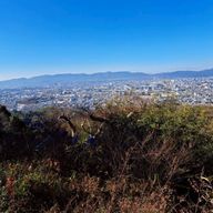 推しを推すのに全力を出す‼️‼️さんのアイコン画像