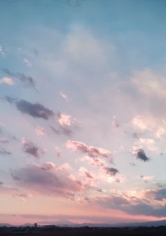 文ストの世界に転生した私達