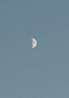 主の暴れる部屋((