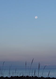 なんでも短編集ぅぅぅ
