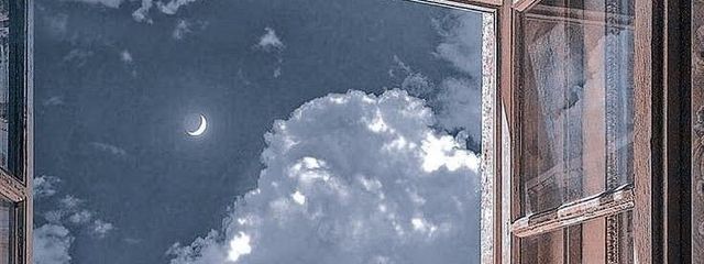 サメェーちゃん💙🐠🦈 人間嫌い、怖いさんの壁紙画像