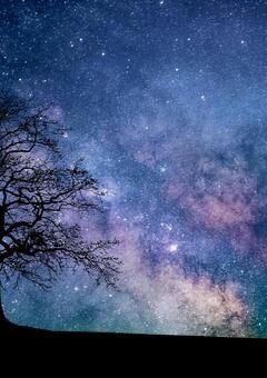 それぞれの夜の色