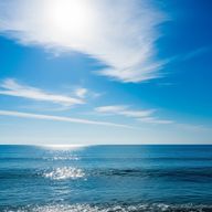 空良さんのアイコン画像