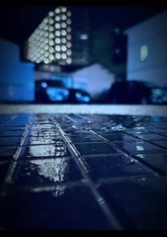 雑談 兼 報告sh((((((