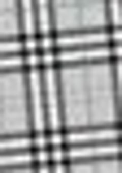 彼女 / 彼 の 色 は もう見れない 。 【 オリジナル 参加型 】募集 3/4迄