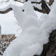 .ℝ𝕦𝕚さんのアイコン画像