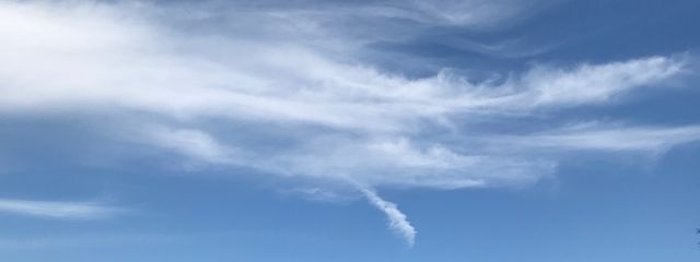紫月瑠衣🌙🌸フォロバ💯さんの壁紙画像